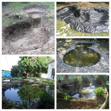 création d'un bassin 